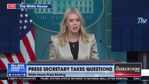 DEMOCRATS CREATED THIS DISASTER