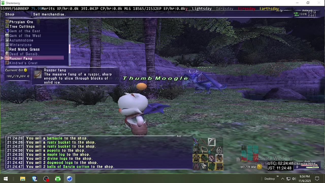Playing Final Fantasy XI Online