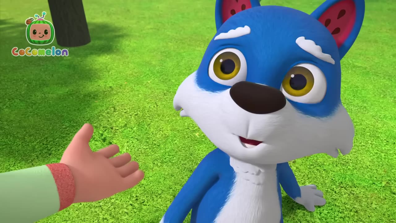 Animal Dance🪩🐱 Cocomelon - Nursery Rhymes Fun Cartoons For Kids