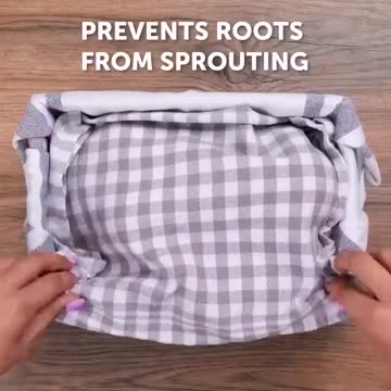 Preserving food organically