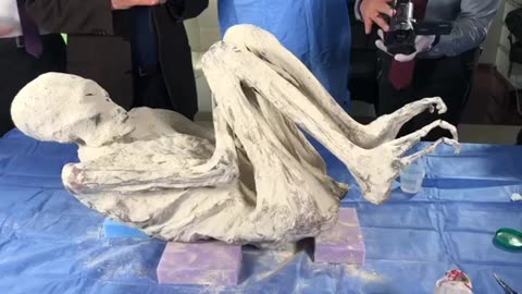 🦾🤯 Tridactyl Giant: Jois Measuring 5 Feet 11 Inches! | TheTruthAbove