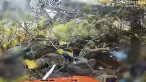 Caught Napping