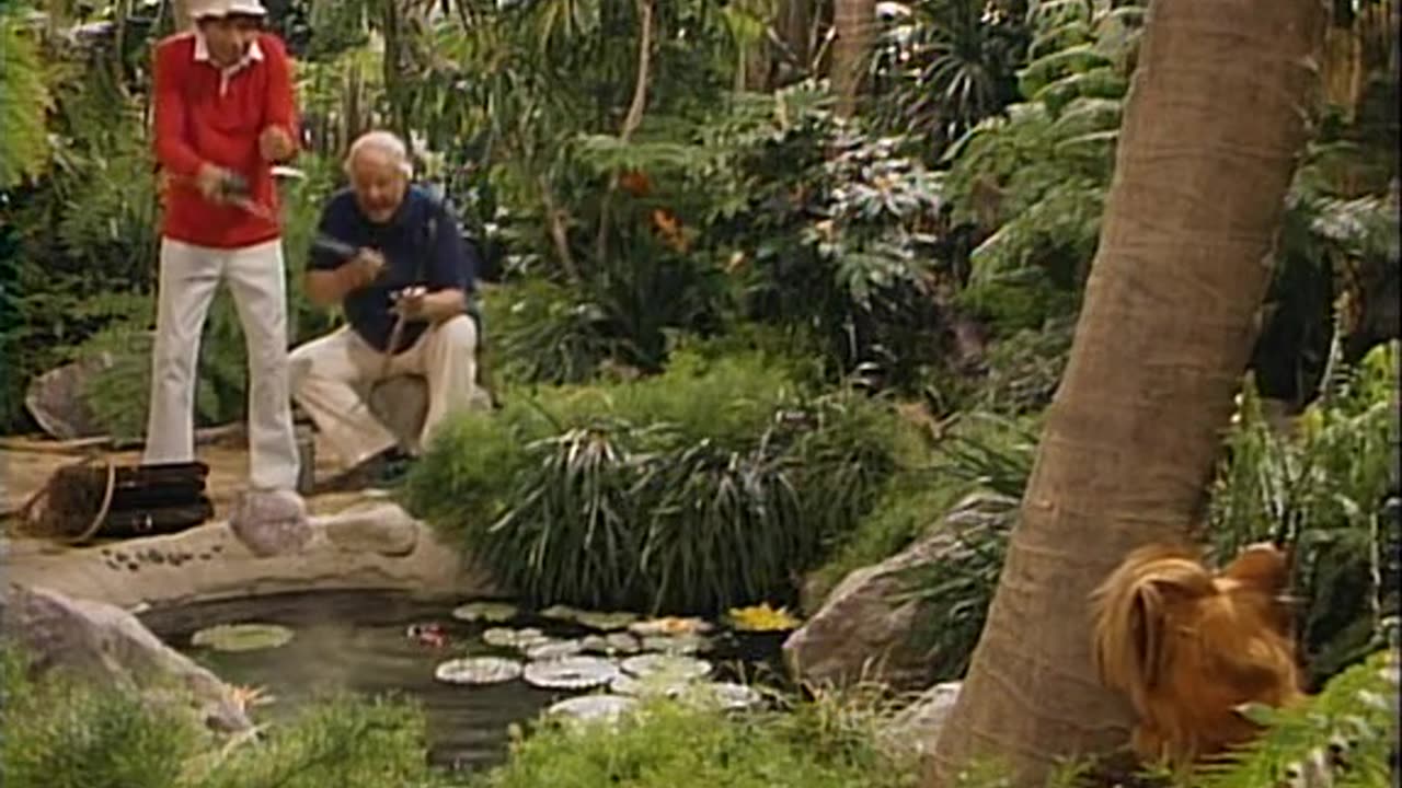 CLASSIC TELEVISION "ALF " ALIEN LIFE FORM..