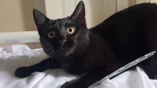 😂😂 Hahahahaha, the Funniest Laugh Ever! | FunFM