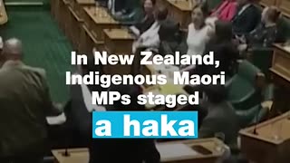 Amazing: In #NewZealand, Indigenous #Maori MPs stage a #haka • FRANCE 24 English