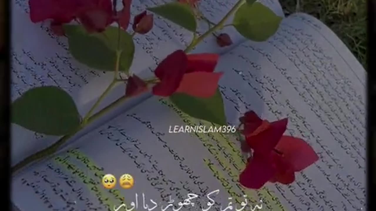 Allah hu akber 🕊️🙏