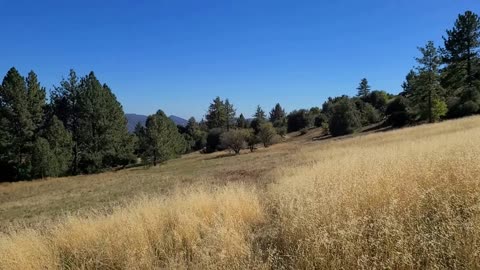 Hiking Cuyamaca 5 - Granite Springs