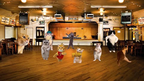 When a Cat is Invited to a Neighbor's Party (Ep.53)