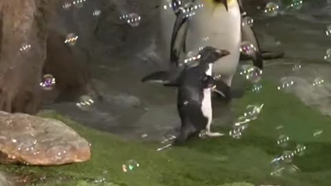 Children love bubbles