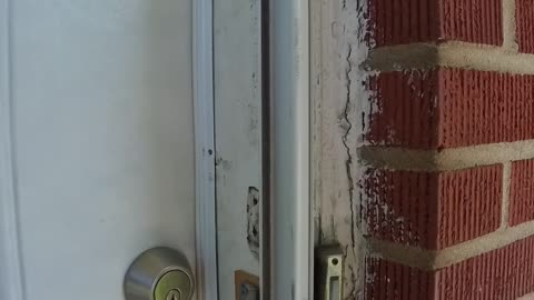 PM Cast: Tenant Eviction Court and New Homes Inspected — My Busy Day as a Property Manager