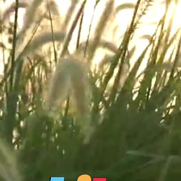 😊 248 ERES UN IMÁN VIVIENTE… ATRAES LO QUE ERES 😊