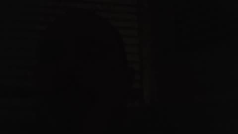 Lion Diet Sleep Optimization： Day 48