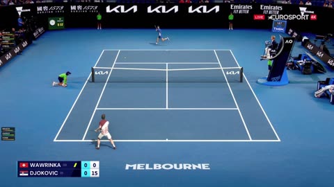 Top Spin 4 Federer SABR And Tweener vs Djokovic