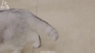 Stop Scrolling and Read This