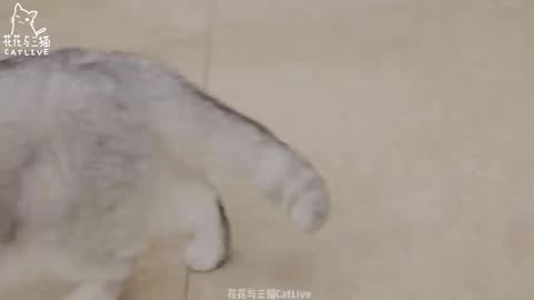 Stop Scrolling and Read This