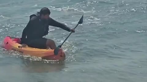 Catching a big shark from the beach