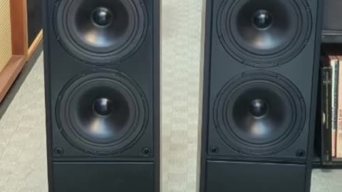 Meridian DSP 5000 ACTIVE Speaker