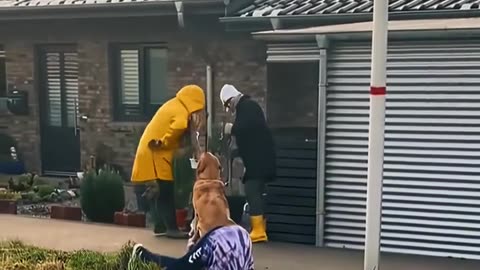 Funny moments 🤣🤣😄🤣