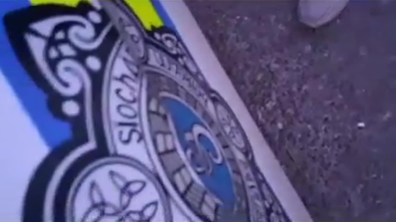 Update on the migrant that was hassling the Irishwoman in Dublin.