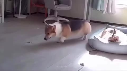 Accomplished so much in so little time 😊