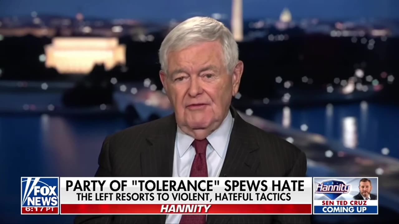 Newt Gingrich: The Left Doesn't Have A Right To Be Violent