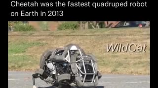 😂 You Won't Believe This Incredible Feat! | FunFM