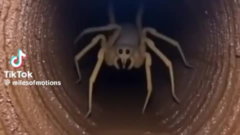 😱👻 You Won't Believe What They Caught on Camera! Nope... No thanks. | TheHauntingHour