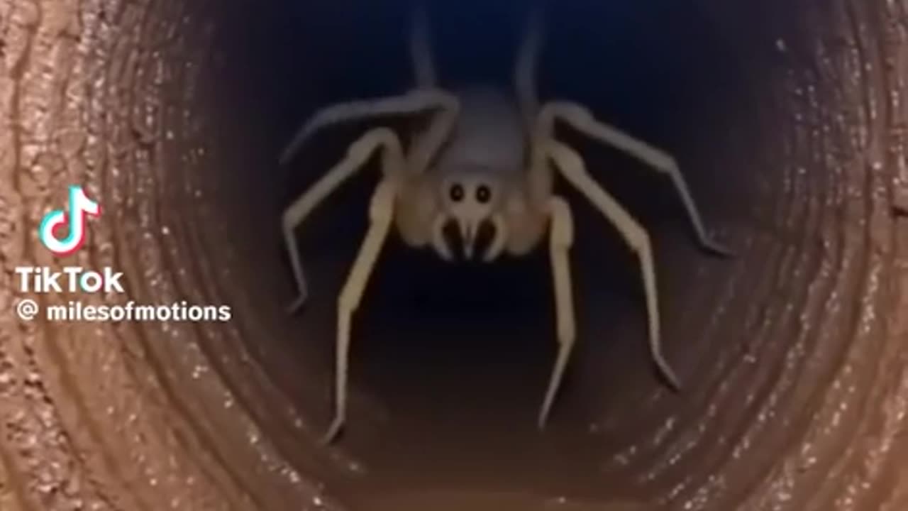 😱👻 You Won't Believe What They Caught on Camera! Nope... No thanks. | TheHauntingHour