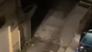 A fake African asylum seeker in Potenza destroyed more than 100 cars in one evening for fun.