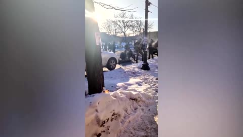 US immigration agents kill another US citizen in Minneapolis