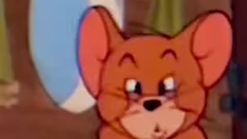 #boxing #peekaboo #combo #knockout #reels #shorts #youtubeshorts #miketyson #canelo #tomandjerry