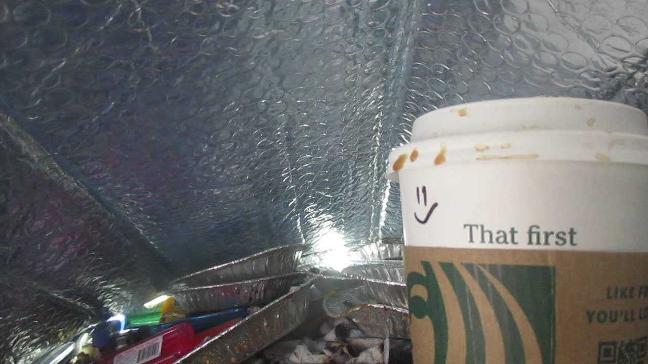 17 Minutes in The Parking Lot. 10/23/2025.