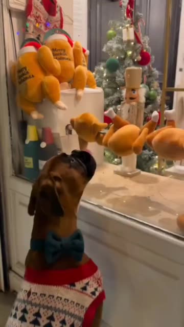 Even better than the real thing