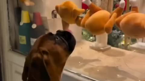 Even better than the real thing