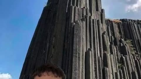 Was there massive giant trees during prehistoric times - Giant Trees during pre flooding