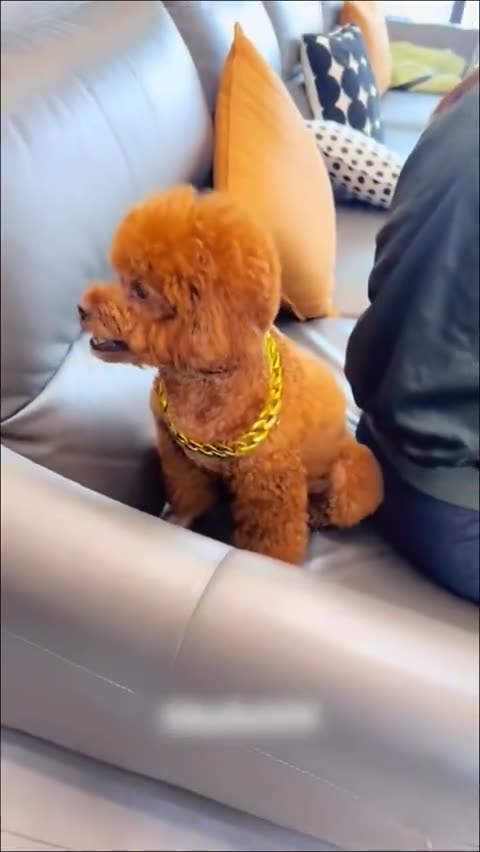 Bribed to look the other way 😂