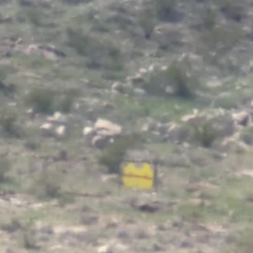 Custom 7PRC shooting at 1768 Yards