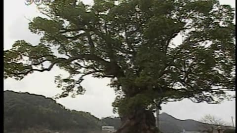 Japan NHK September 14, 2001 330am-400am JST