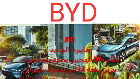 BYD DM-i