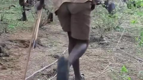 Hadzabe Tribe Hunters