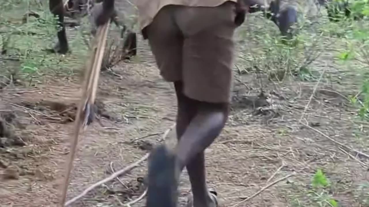Hadzabe Tribe Hunters