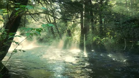 Emut bae || mp3-relaxing,chill&waasmusic