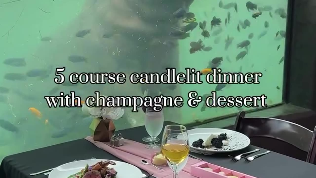 Dinner with hippos in Texas, USA.