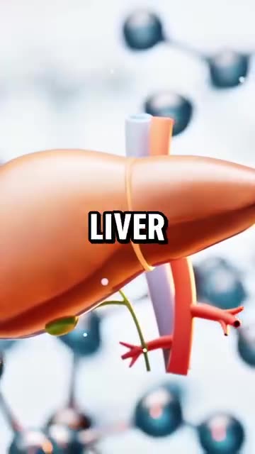 5 best Liver Detox