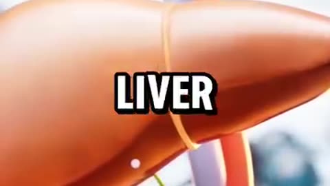 5 best Liver Detox