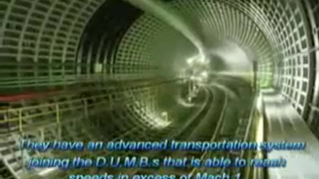 d.u.m.b.s 7