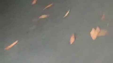 Nancy in Washington, D.C? Nancy is visiting the White House Visitor Center