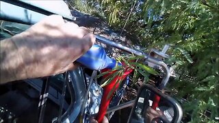 Tranny oil
