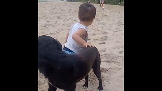 Dog Supporting His Best Friend In His First Steps