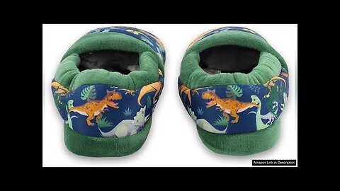 Jurassic World Dinosaur Boys Toddler Plush Aline Slippers Review